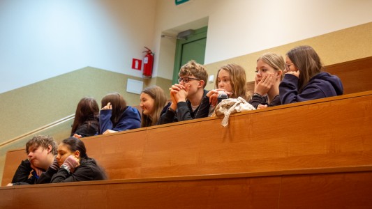 Kliknij, aby powiększyć zdjęcie.